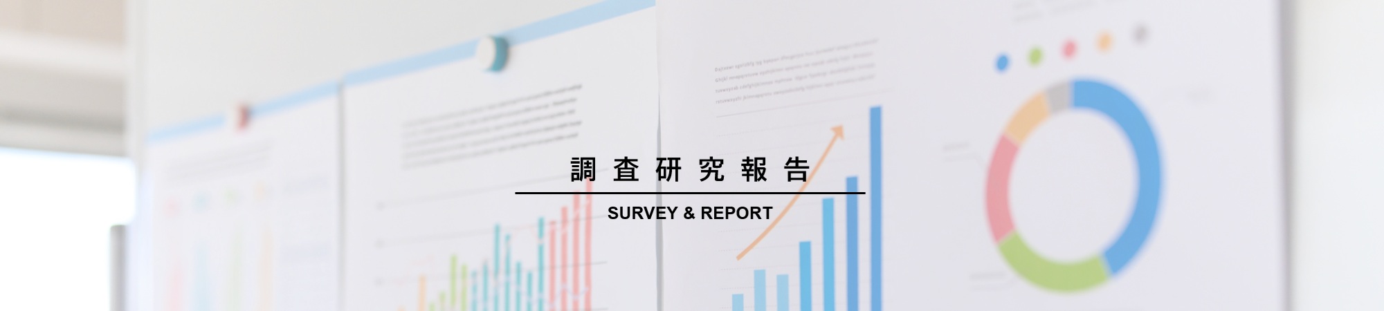 調査研究報告
